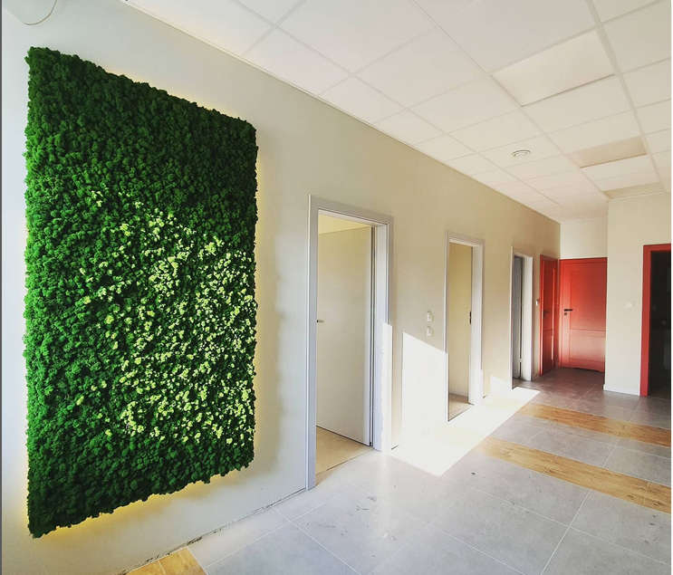 Ekologiczny styl życia: Ściany z mchu jako element zrównoważonej architektury